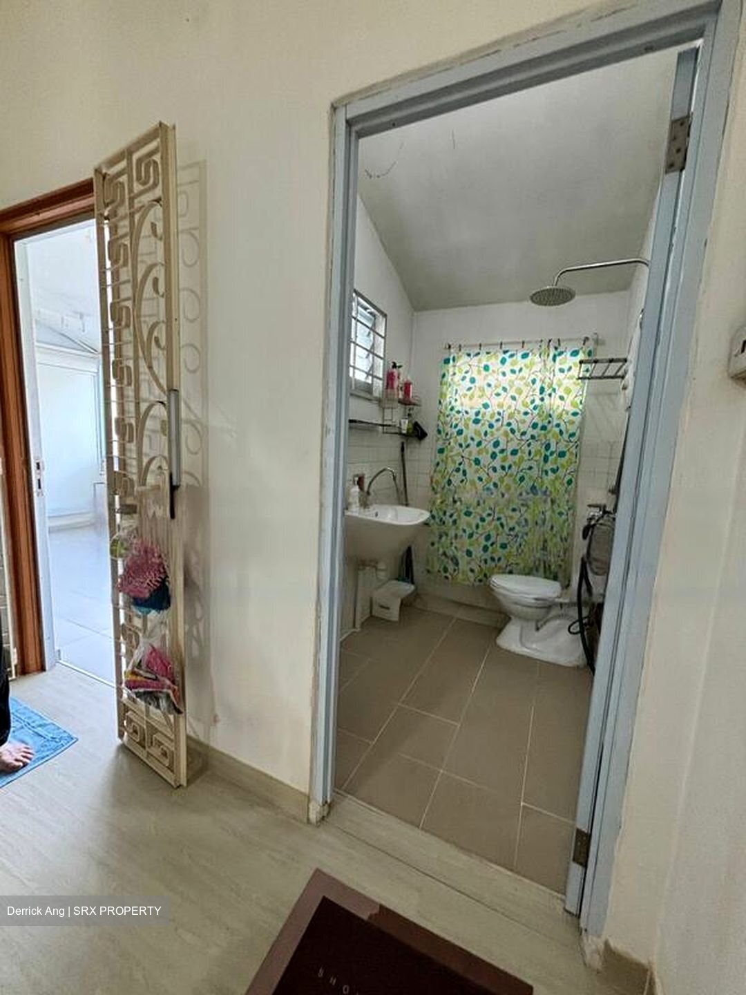 Mount Sinai (D10), Terrace #456399011